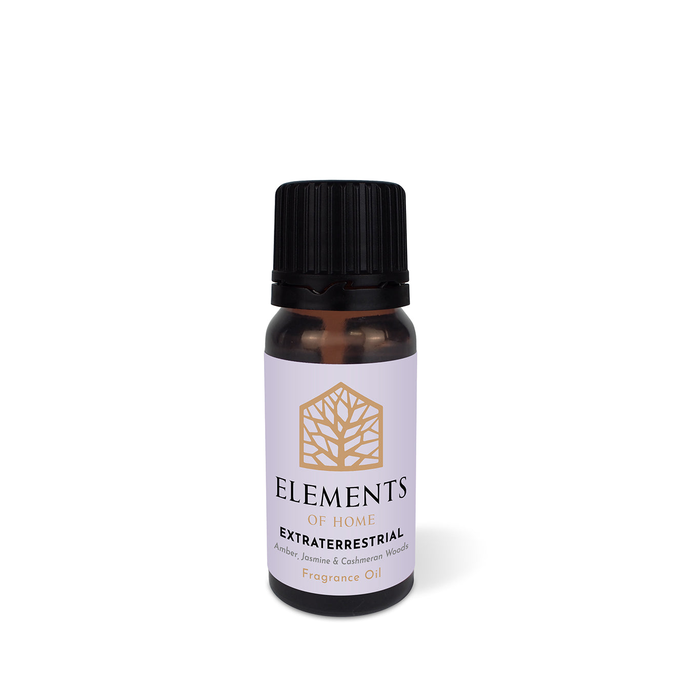 Extraterrestrial Fragrance Oil 10ml