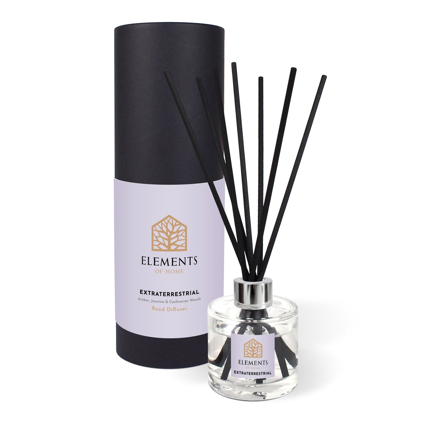 Extraterrestrial Reed Diffuser 100ml