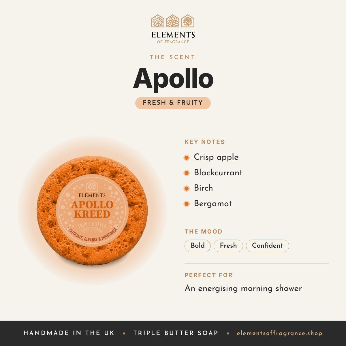 Apollo Soap Sponge scent profile: fresh & fruity with notes of crisp apple, blackcurrant, birch, bergamot
