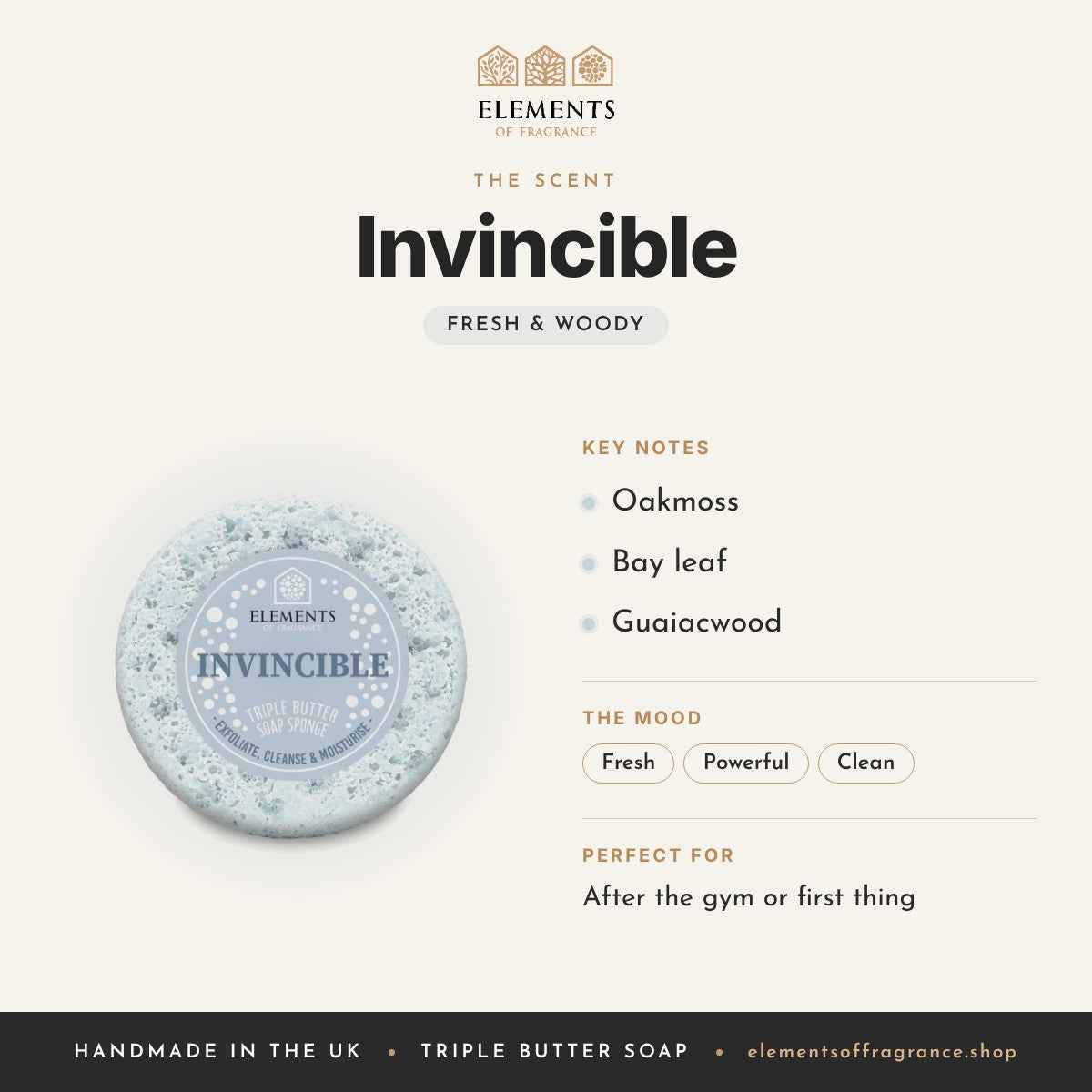 Invincible Soap Sponge scent profile: fresh & woody with notes of oakmoss, bay leaf, guaiacwood