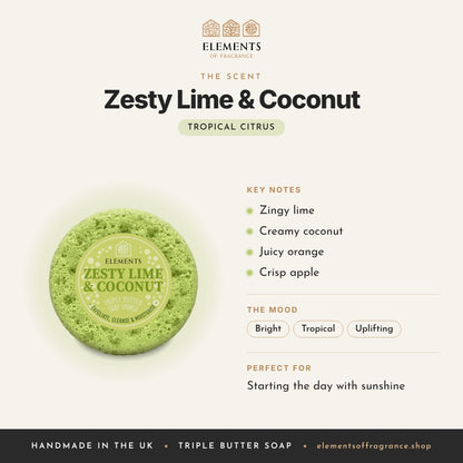 Zesty Lime & Coconut Soap Sponge scent profile: tropical citrus with notes of zingy lime, creamy coconut, juicy orange, crisp apple