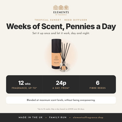 Tropical Sunset Reed Diffuser: up to 12 weeks of fragrance from 24p a day, 6 fibre reeds