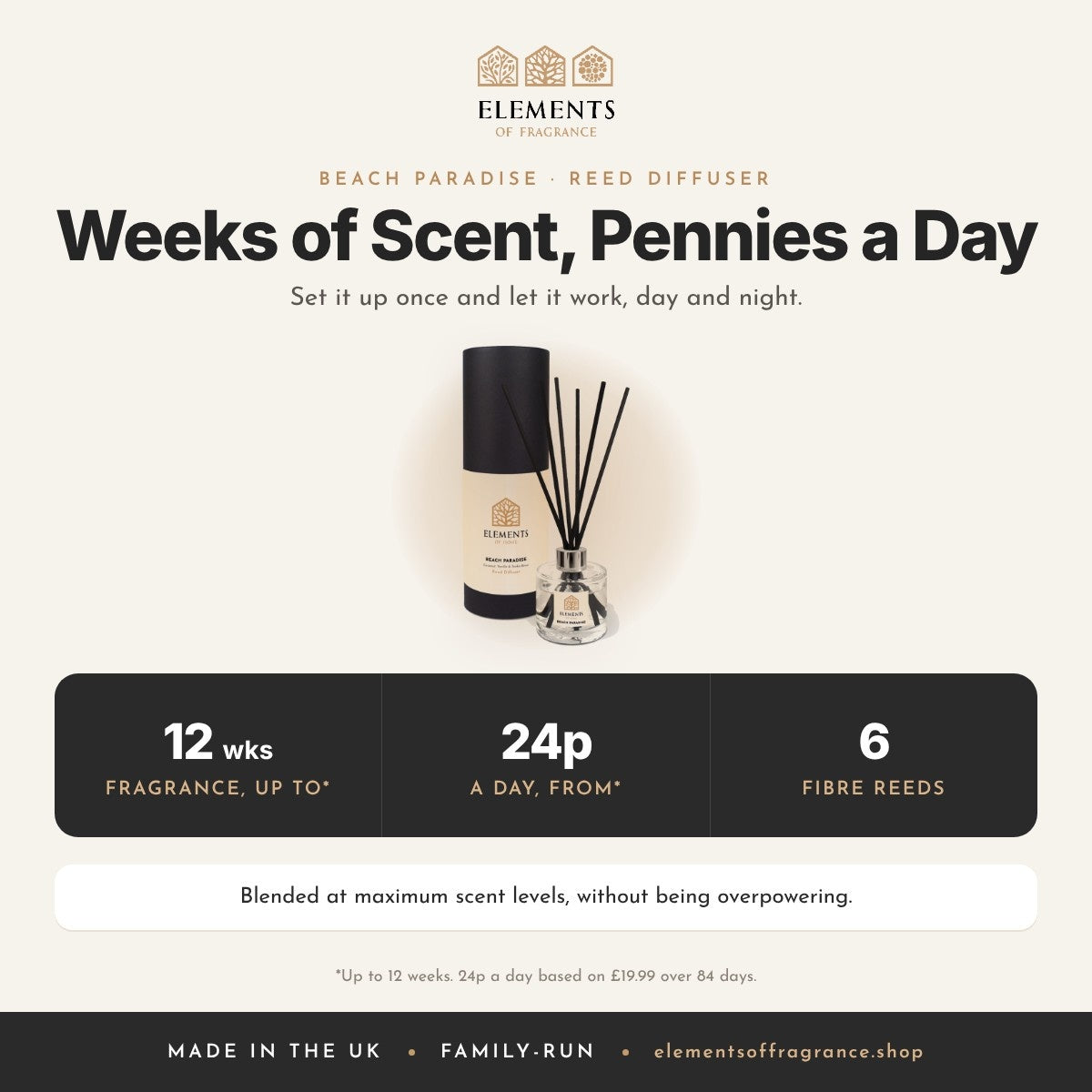 Beach Paradise Reed Diffuser: up to 12 weeks of fragrance from 24p a day, 6 fibre reeds