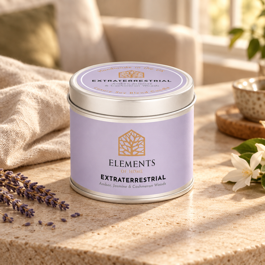 Extraterrestrial scented candle in a 180g tin styled with fresh ingredients – Elements of Fragrance