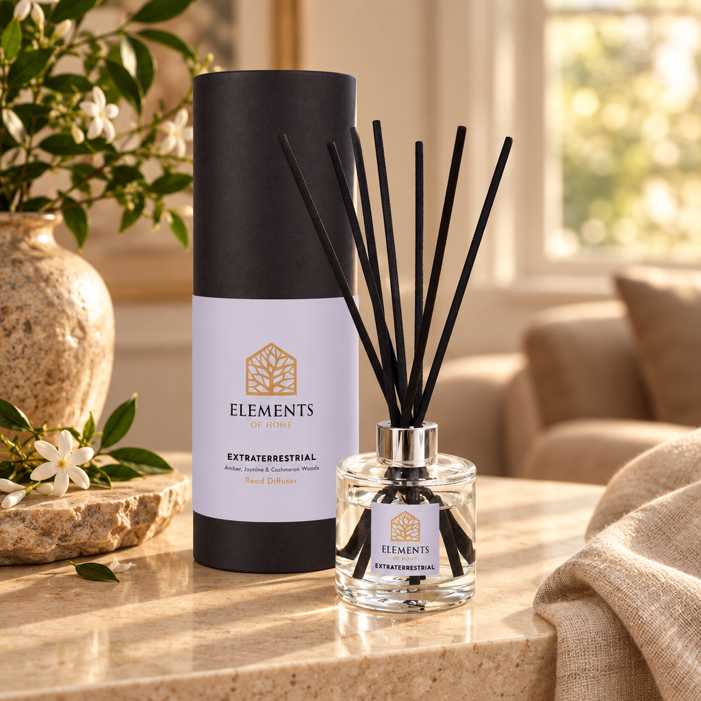 Extraterrestrial 100ml reed diffuser with black reeds styled in a sunlit living room – Elements of Fragrance